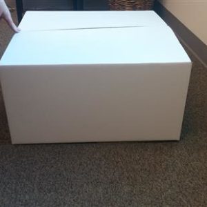 BOX 2 BUSINESS Packaging Bag BB240/240/120/ONI