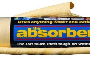 The Absorber 149