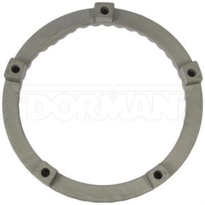 Dorman (OE Solutions) ABS Wheel Speed Sensor Ring 917-534