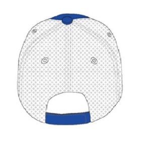 Checkered Flag Sports Hat E1619