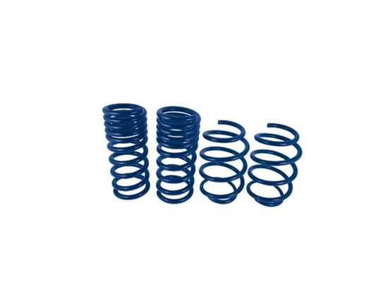 Ford Performance Coil Spring M-5300-XA