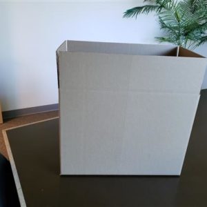 BOX 2 BUSINESS EX LARGE Packaging Bag PDI