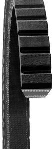Dayco Products Inc Accessory Drive Belt 15520