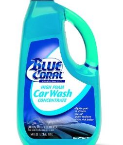 Blue Coral Car Wash WC107G